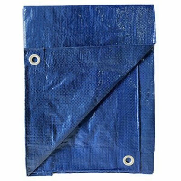 Kaps Tex 8 ft x 10 ft Tarp, Blue KT-LT0810B